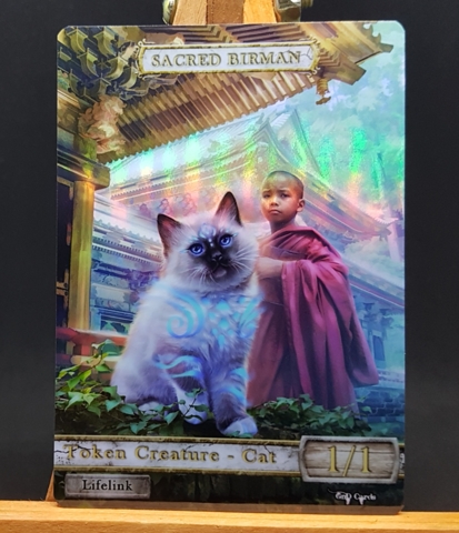 Foil Cat #05